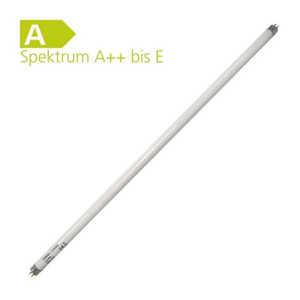 Fluorescenčná trubica Basic T5 Short L 13 W / 640