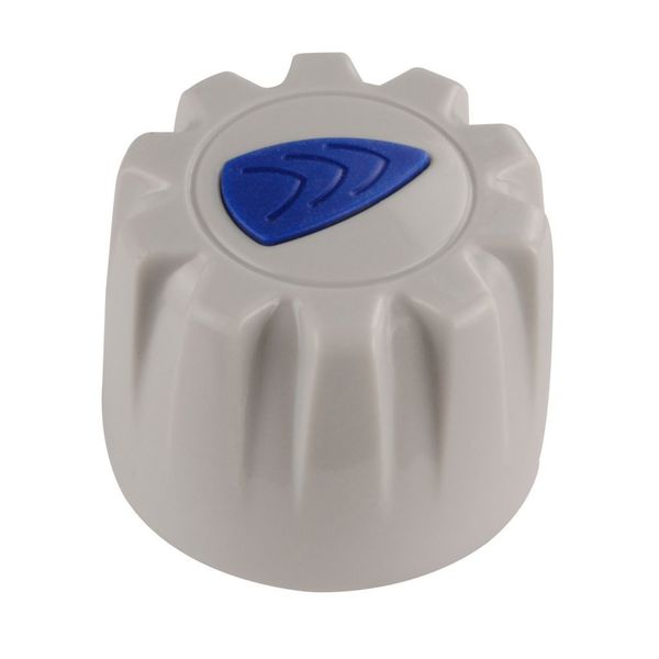 Nastavovací gombík